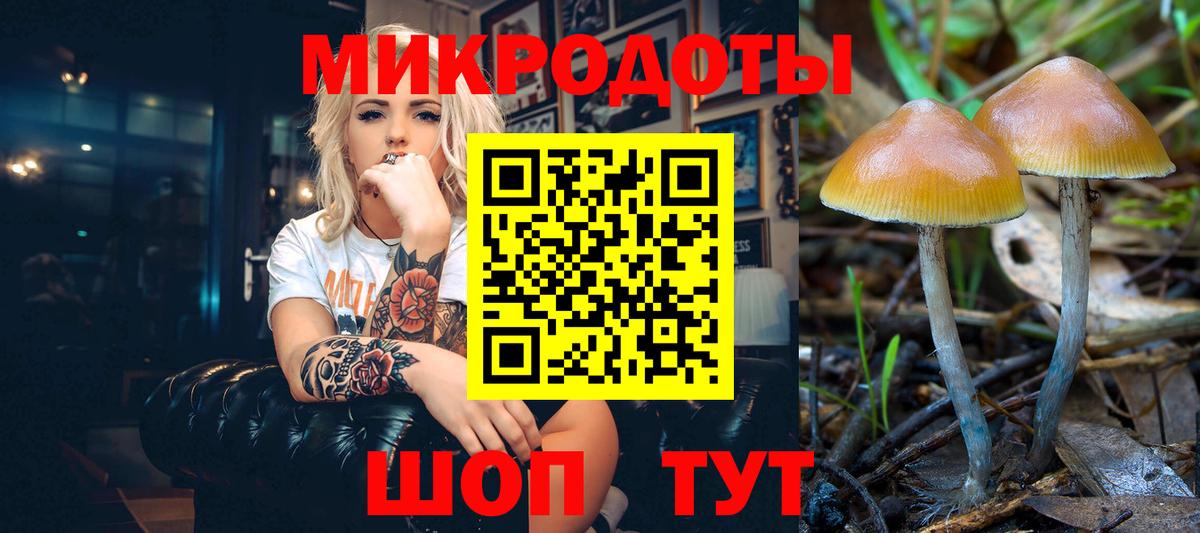 Галлюциногенные грибы MAGIC MUSHROOMS  Вход с VPN  Вольск 